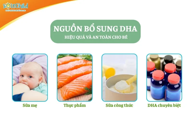 DHA cho bé: Vai trò, cách bổ sung và sản phẩm tốt nhất