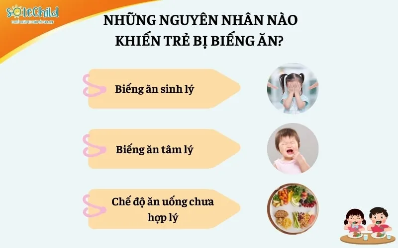 Trẻ biếng ăn phải làm sao? Nguyên nhân và cách khắc phục hiệu quả