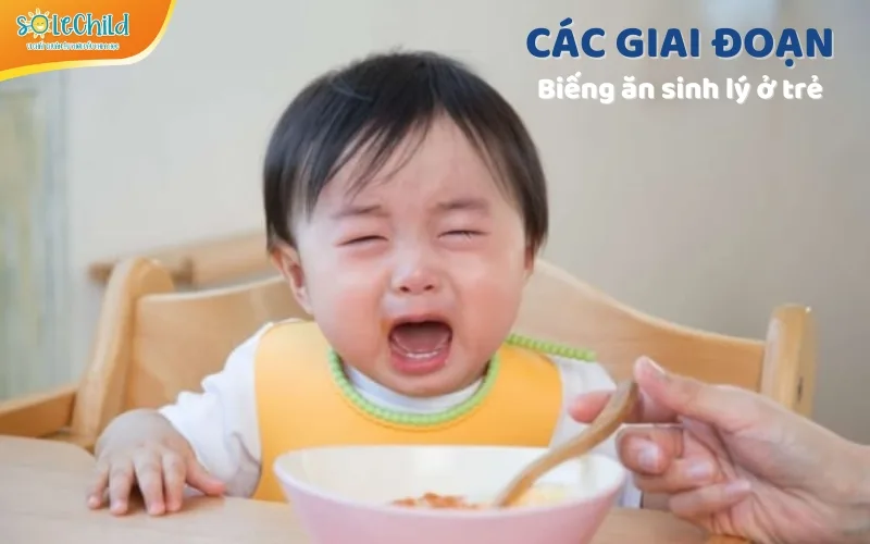 Biếng ăn sinh lý ở trẻ: Cẩm nang dành cho mẹ