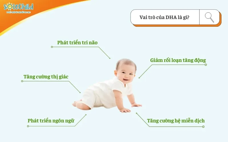 DHA cho bé: Vai trò, cách bổ sung và sản phẩm tốt nhất