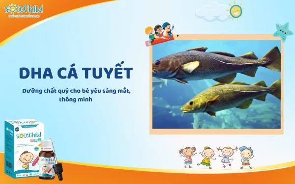 DHA cá tuyết - Dưỡng chất quý cho bé yêu sáng mắt, thông minh