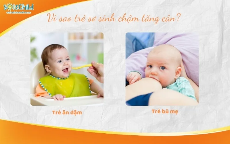 Vì sao trẻ sơ sinh chậm tăng cân và cách giúp con hấp thu tốt hơn?