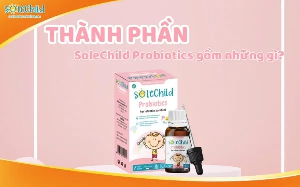 Thành phần men vi sinh SoleChild có gì đặc biệt và những lợi ích bất ngờ của SoleChild Probiotics