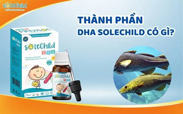 Thành phần DHA SoleChild có gì đặc biệt mà nhiều mẹ mê đến thế?