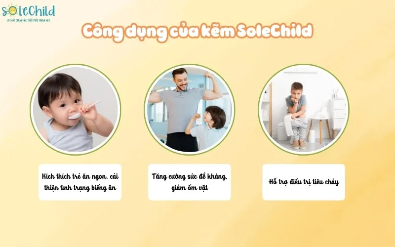 Thành phần kẽm SoleChild gồm những gì mà giúp bé ăn ngon, đề kháng khỏe?