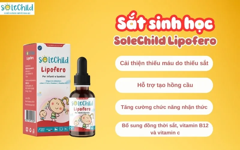 Báo Thừa Thiên Huế khẳng định SoleChild là thương hiệu vi chất chuẩn Âu giúp trẻ phát triển toàn diện từ sơ sinh