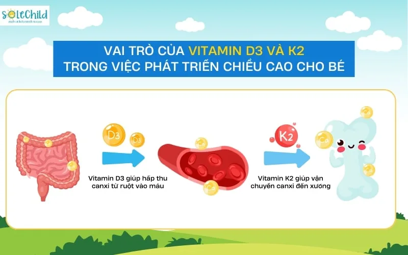 Báo Hà Tĩnh nhận định SoleChild D3K2 là giải pháp hoàn hảo giúp bé phát triển chiều cao từ sơ sinh