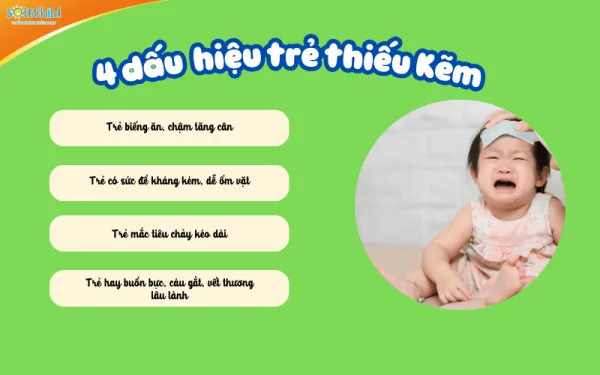 Dấu hiệu bé thiếu kẽm và cách giúp mẹ giải quyết vấn đề thiếu kẽm ở trẻ 4 dấu hiệu thiếu kẽm ở trẻ