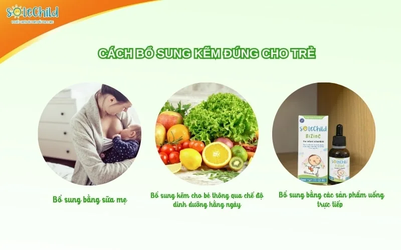 Kẽm là gì? Vai trò, dấu hiệu thiếu hụt và cách bổ sung kẽm cho bé hiệu quả, an toàn Kẽm là gì? Vai trò, dấu hiệu thiếu hụt và cách bổ sung kẽm cho bé hiệu quả, an toàn