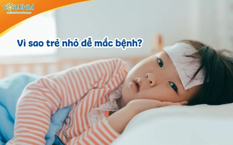 6 cách tăng đề kháng cho bé tự nhiên, an toàn mẹ nào cũng nên biết 6 cách tăng đề kháng cho bé tự nhiên, an toàn mẹ nào cũng nên biết
