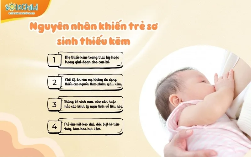 Bổ sung kẽm cho bé sơ sinh mang lại hiệu quả gì, bổ sung như thế nào cho đúng? Bổ sung kẽm cho bé sơ sinh mang lại hiệu quả gì, bổ sung như thế nào cho đúng?