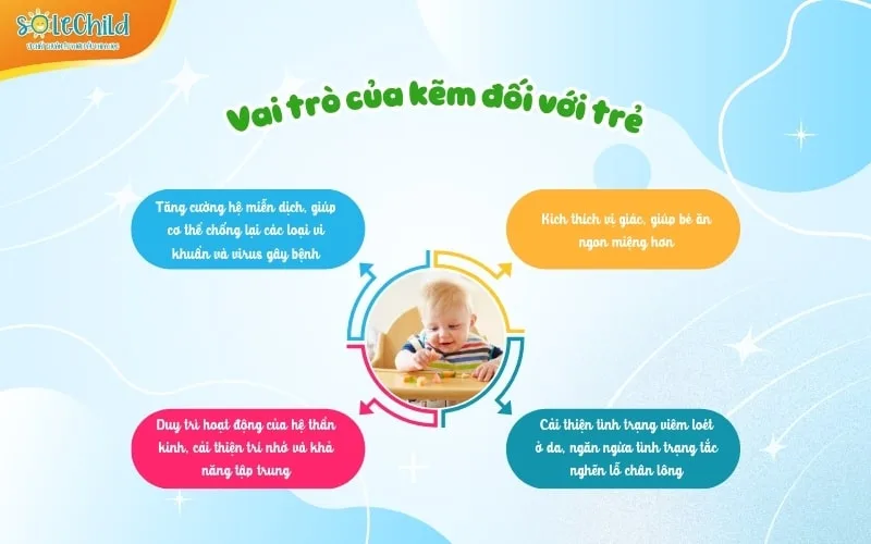 Kẽm là gì? Vai trò, dấu hiệu thiếu hụt và cách bổ sung kẽm cho bé hiệu quả, an toàn Kẽm là gì? Vai trò, dấu hiệu thiếu hụt và cách bổ sung kẽm cho bé hiệu quả, an toàn