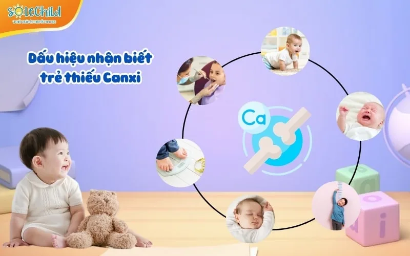 Cách khắc phục thiếu canxi ở trẻ sơ sinh an toàn và hiệu quả Cách khắc phục thiếu canxi ở trẻ sơ sinh an toàn và hiệu quả