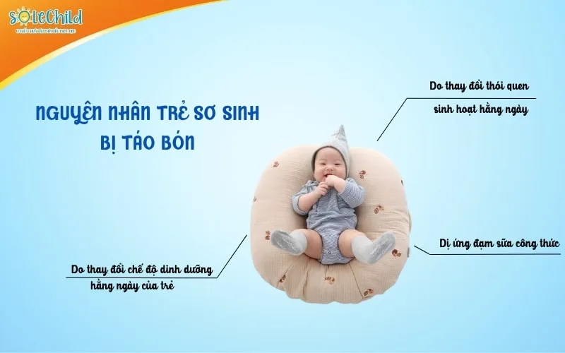 Trẻ sơ sinh bị táo bón: Nguyên nhân, dấu hiệu và cách phòng ngừa cho mẹ Trẻ sơ sinh bị táo bón: Nguyên nhân, dấu hiệu và cách phòng ngừa cho mẹ