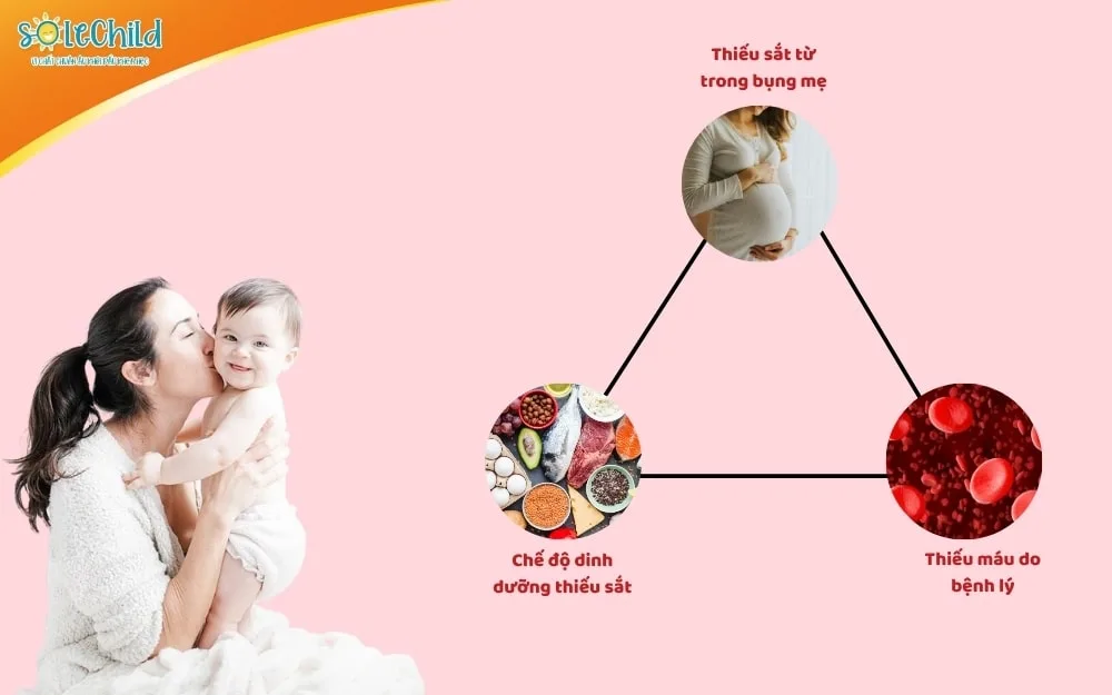 Những biểu hiện thiếu máu ở trẻ sơ sinh mẹ không nên bỏ qua Những biểu hiện thiếu máu ở trẻ sơ sinh mẹ không nên bỏ qua