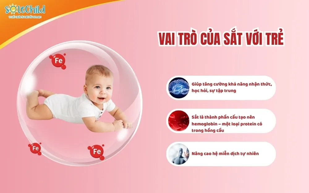 Những biểu hiện thiếu máu ở trẻ sơ sinh mẹ không nên bỏ qua Những biểu hiện thiếu máu ở trẻ sơ sinh mẹ không nên bỏ qua
