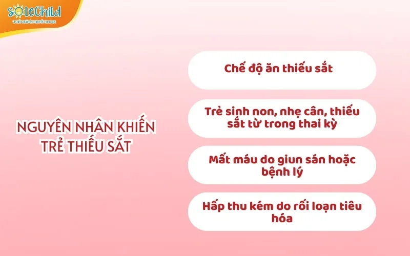 Trẻ thiếu sắt: Dấu hiệu nhận biết, nguyên nhân và cách bổ sung đúng cho trẻ Trẻ thiếu sắt: Dấu hiệu nhận biết, nguyên nhân và cách bổ sung đúng cho trẻ