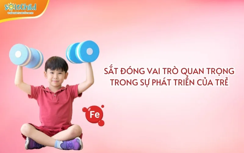 Trẻ thiếu sắt: Dấu hiệu nhận biết, nguyên nhân và cách bổ sung đúng cho trẻ Trẻ thiếu sắt: Dấu hiệu nhận biết, nguyên nhân và cách bổ sung đúng cho trẻ