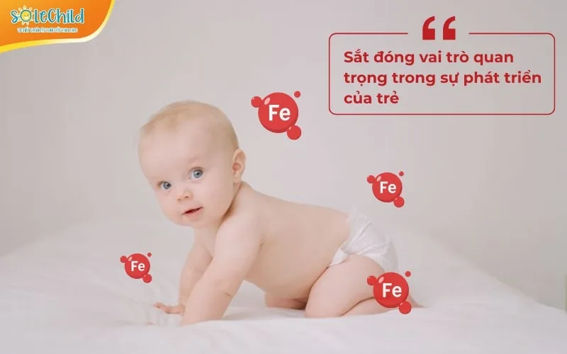 Những nguyên nhân thiếu máu ở trẻ em và cách giúp mẹ phòng ngừa hiệu quả
