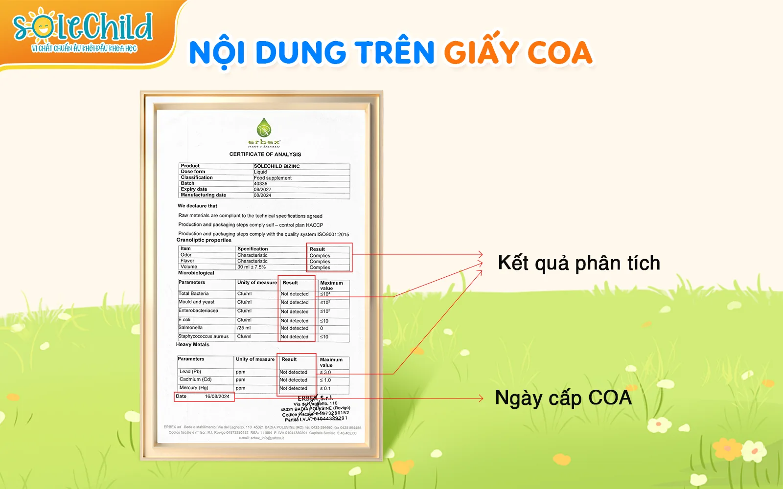 Hướng dẫn cách tra cứu và đọc giấy chứng nhận phân tích (COA) SoleChild