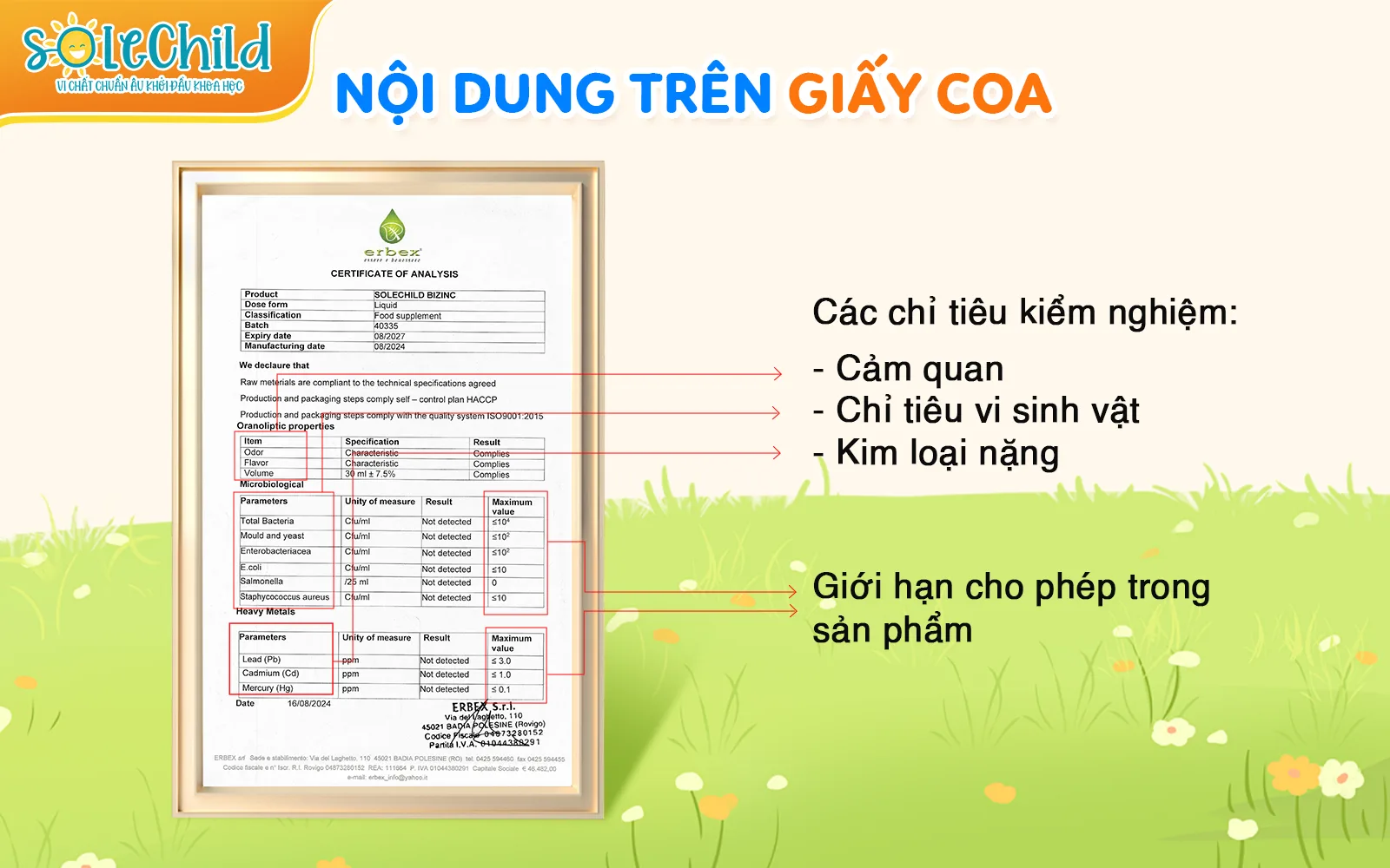 Hướng dẫn cách tra cứu và đọc giấy chứng nhận phân tích (COA) SoleChild