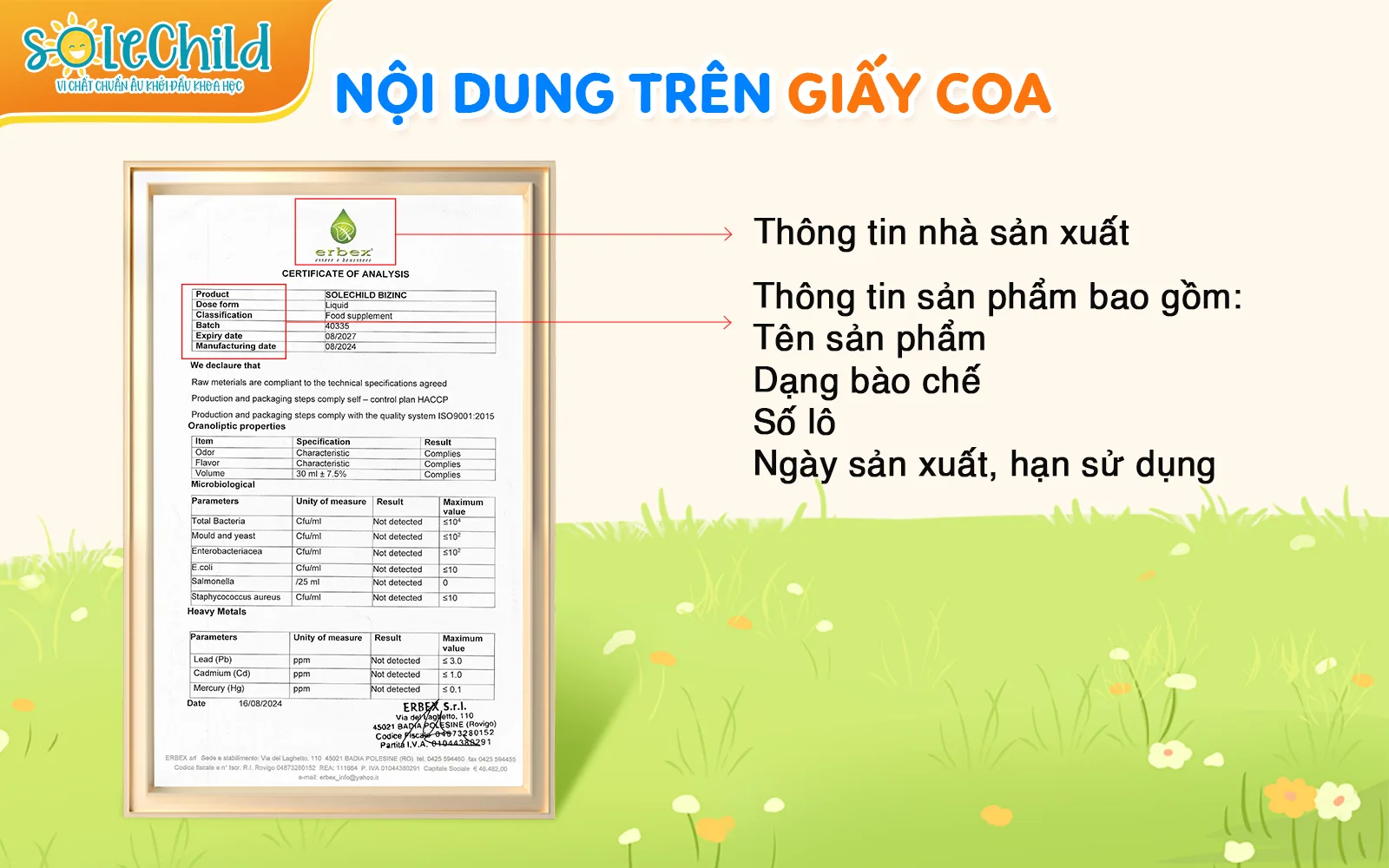 Hướng dẫn cách tra cứu và đọc giấy chứng nhận phân tích (COA) SoleChild