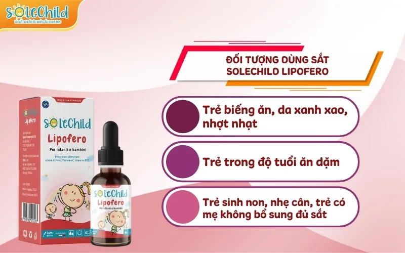 Đối tượng nên bổ sung sắt SoleChild Lipofero để dự phòng thiếu máu, thiếu sắt Đối tượng nên bổ sung sắt SoleChild Lipofero để dự phòng thiếu máu, thiếu sắt