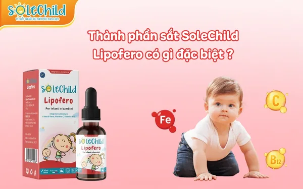Thành phần sắt SoleChild Lipofero có gì đặc biệt mà được các mẹ tin dùng đến thế?