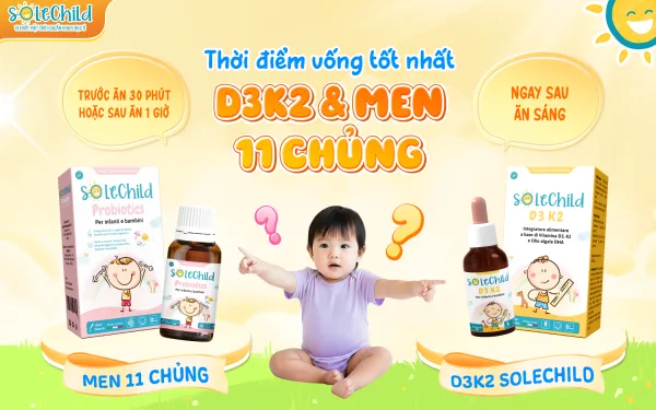 Thời điểm uống tốt nhất D3K2 và men 11 chủng
